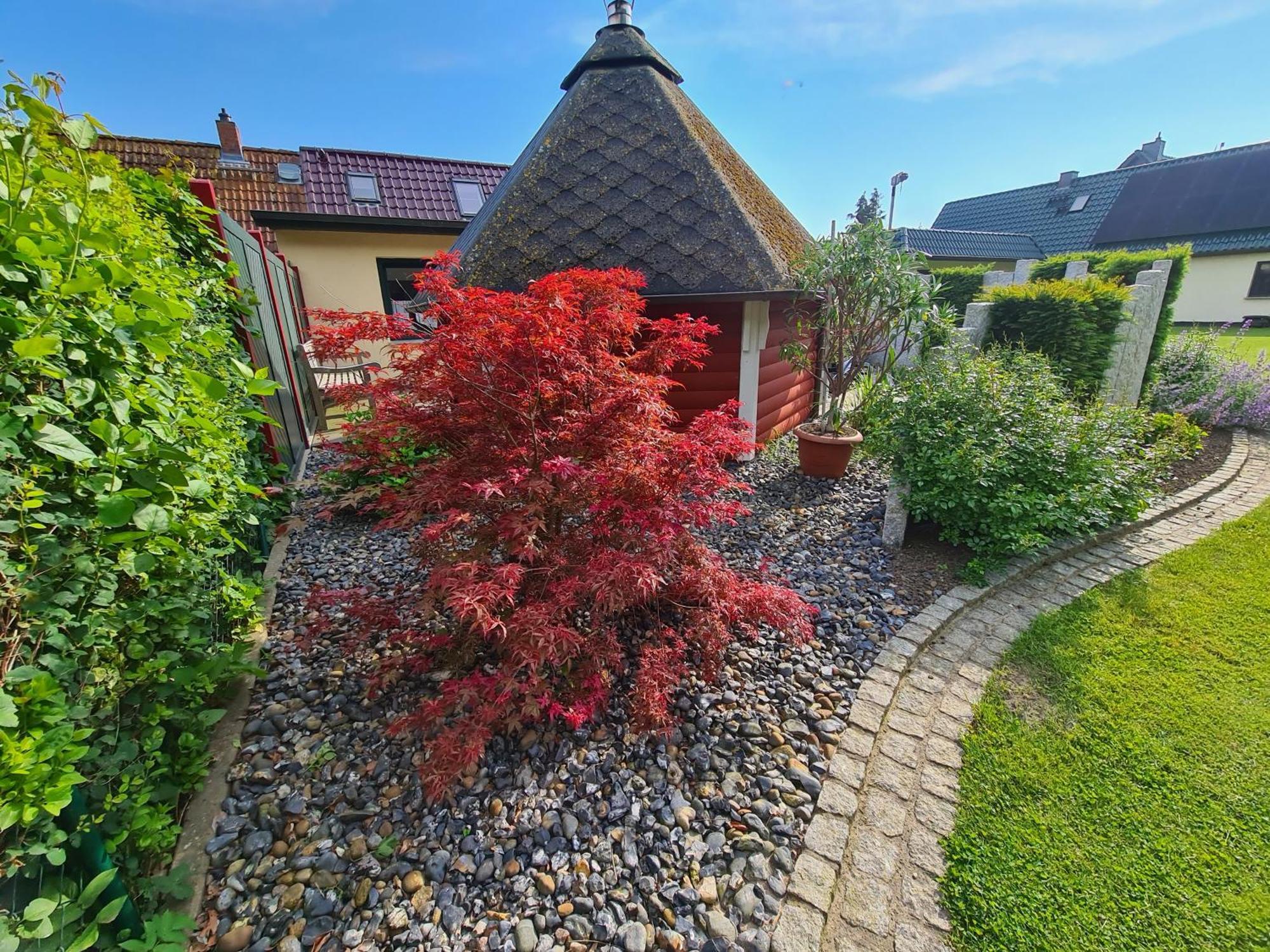Ferienhaus Saupe Schaprode Dış mekan fotoğraf